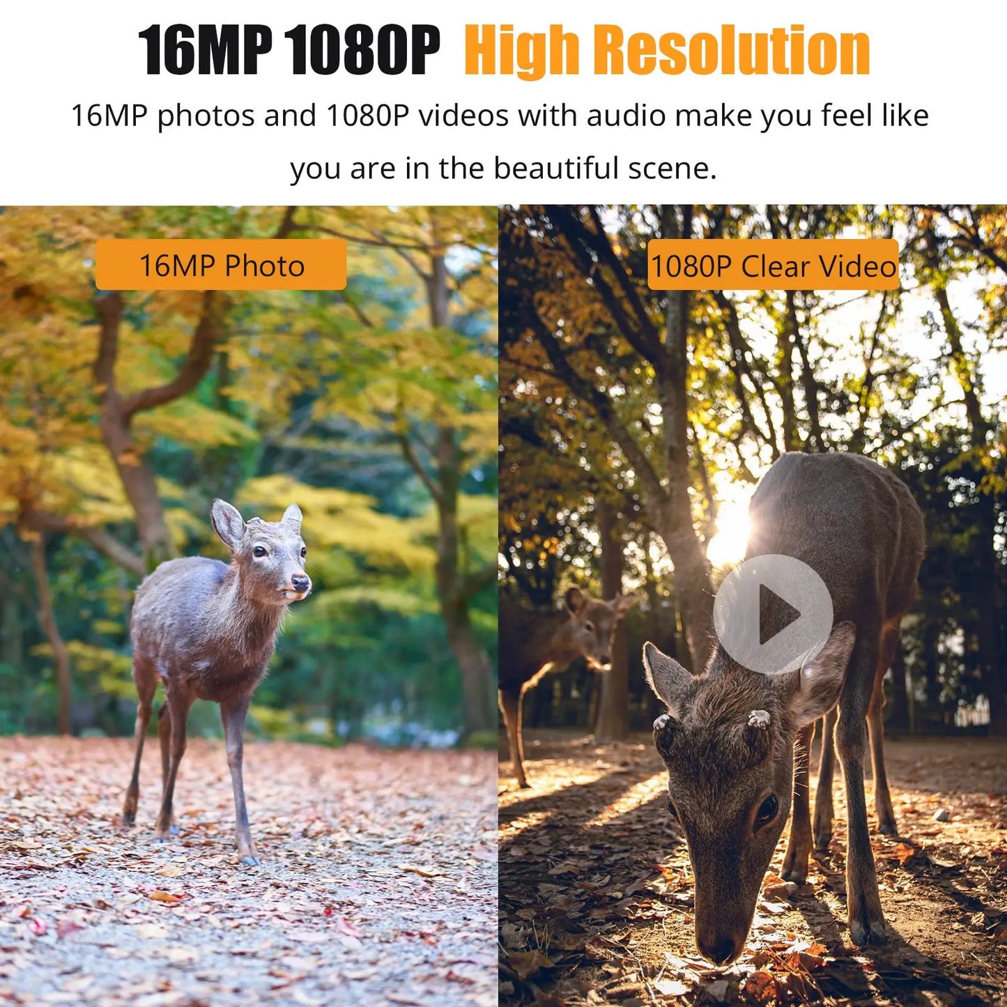 1080P  Infrared Night Vision Mobile Monitoring  Waterproof Trail Camera