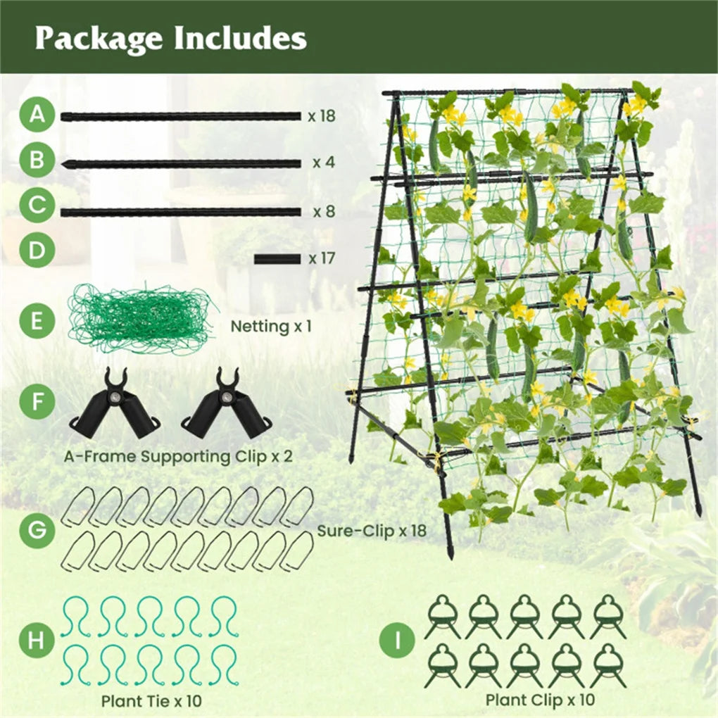 59" Cucumber Trellis  for Vegetables