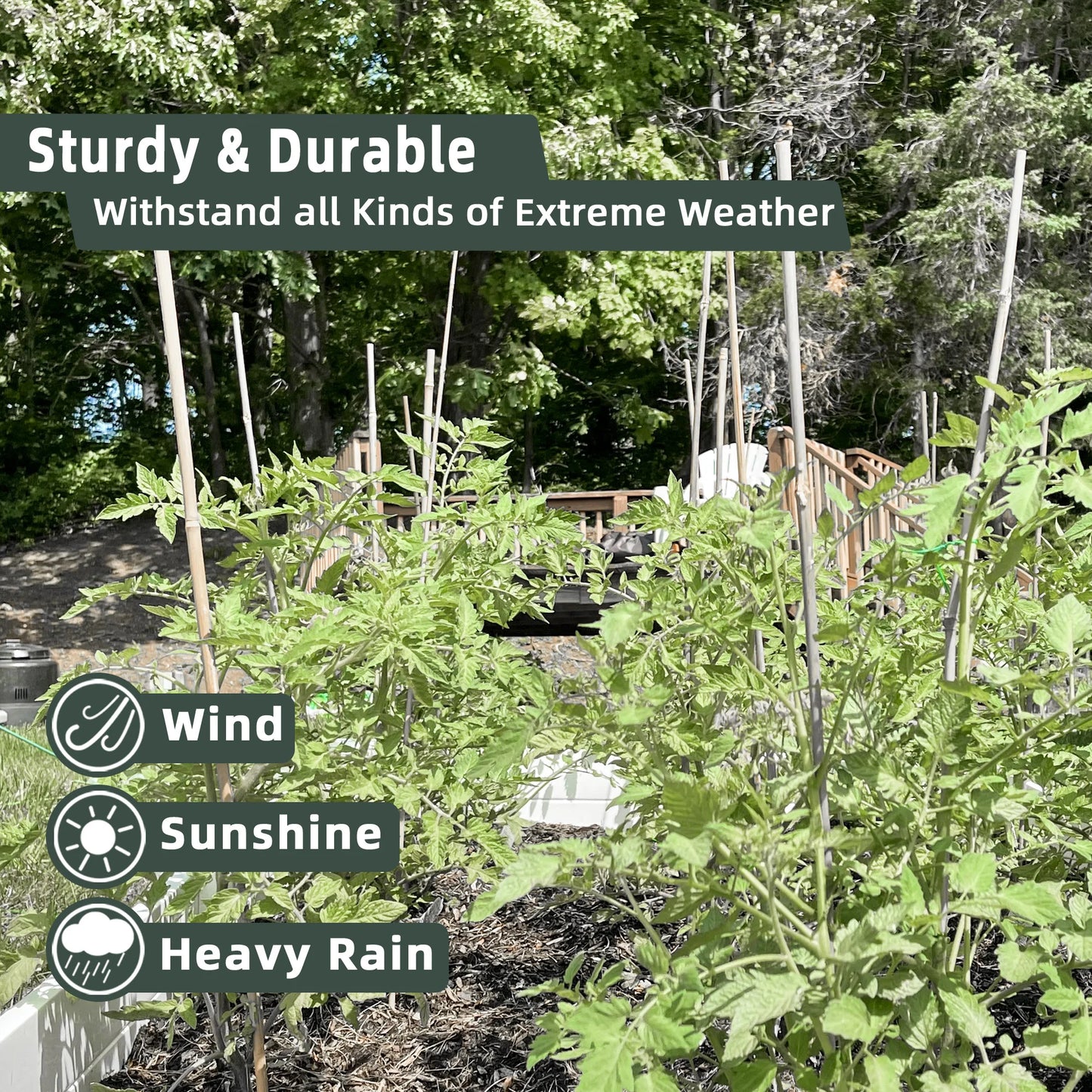 30pcs 7ft Bamboo Plant Stakes for Indoor Outdoor Plants，Garden Support Trellis for Climbing Plants