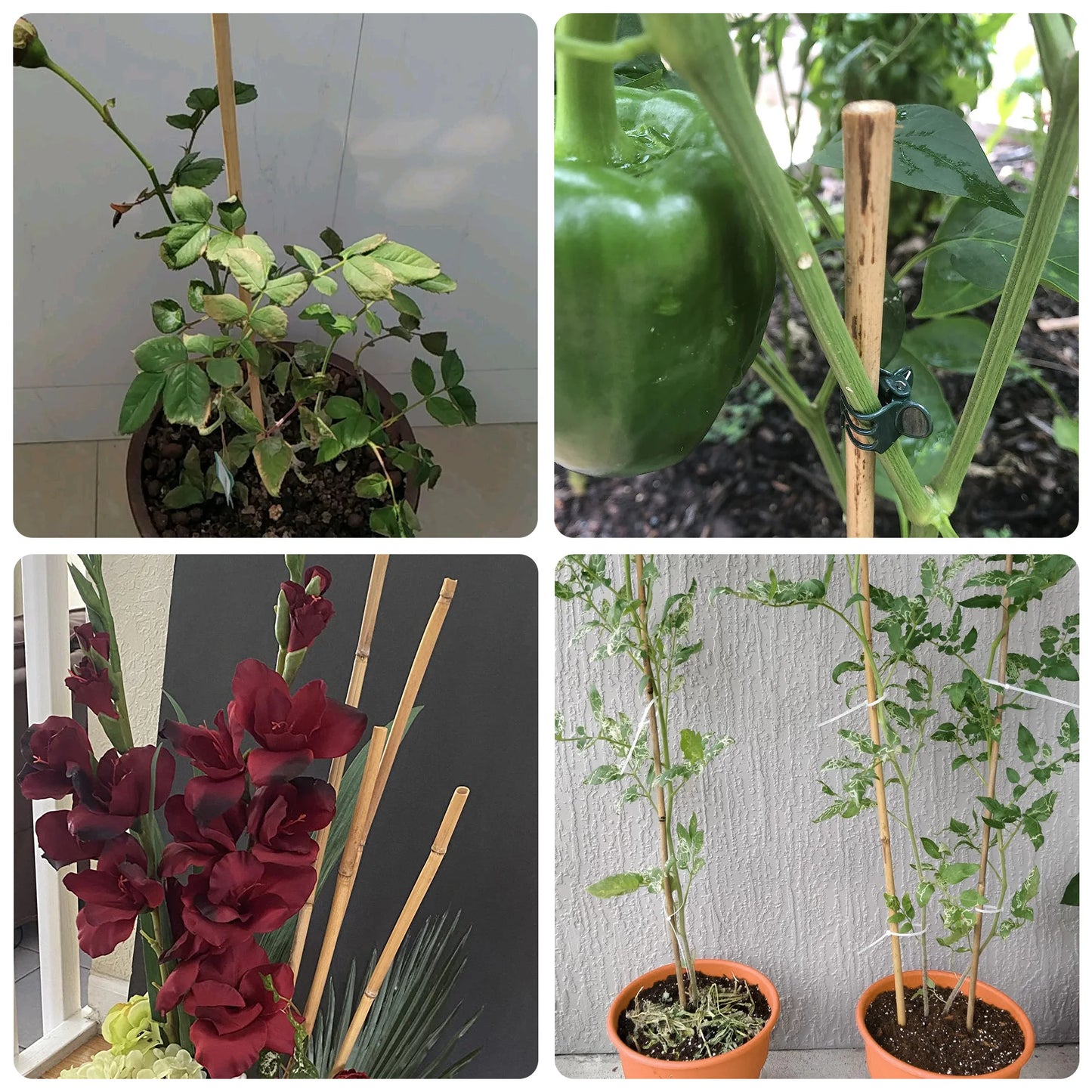 30pcs 7ft Bamboo Plant Stakes for Indoor Outdoor Plants，Garden Support Trellis for Climbing Plants