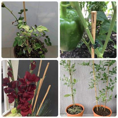 30pcs 7ft Bamboo Plant Stakes for Indoor Outdoor Plants，Garden Support Trellis for Climbing Plants