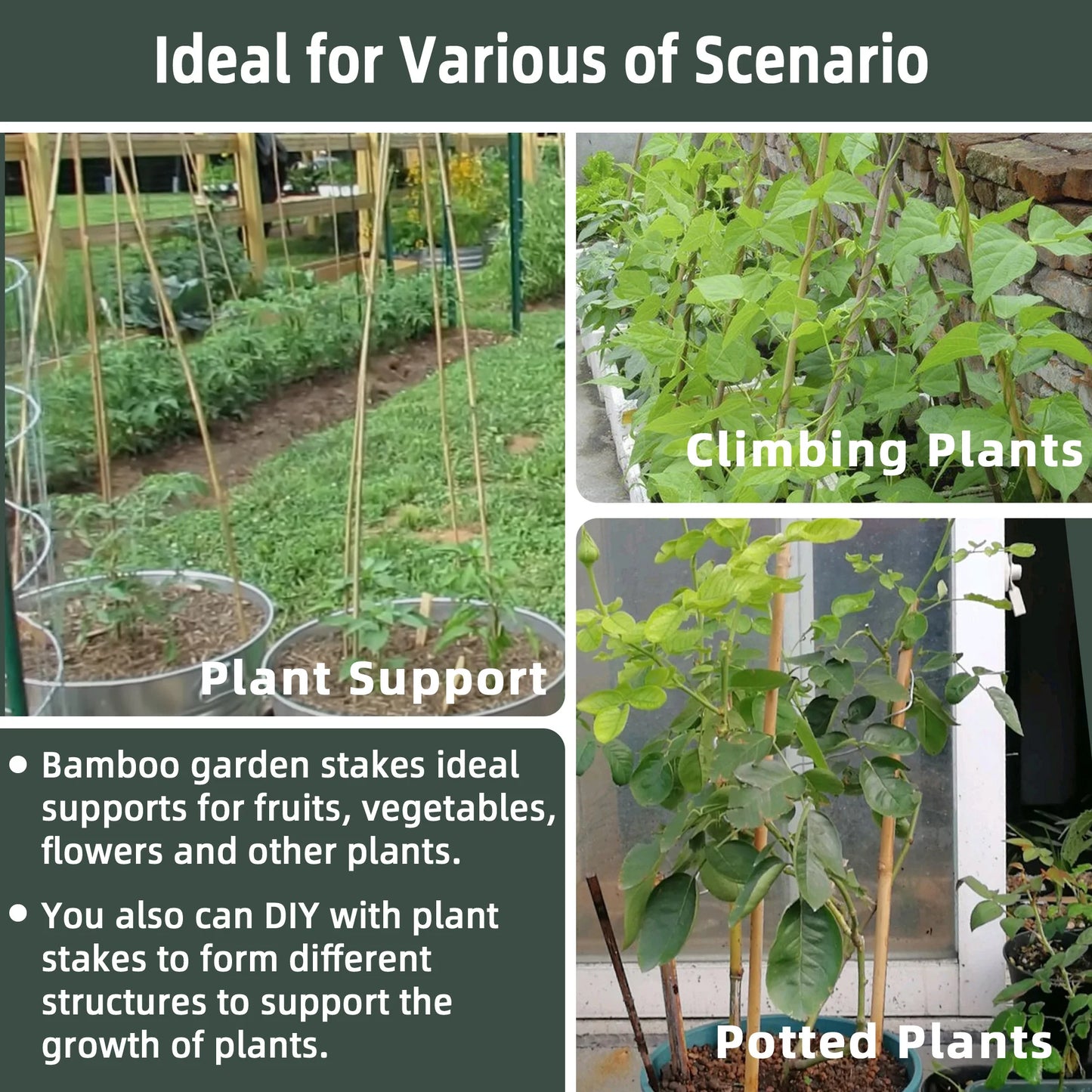 30pcs 7ft Bamboo Plant Stakes for Indoor Outdoor Plants，Garden Support Trellis for Climbing Plants