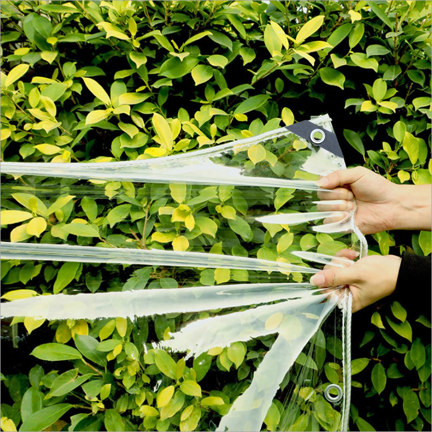 Clear Heavy Duty PVC, Transparent Tarp with Grommets & Ropes