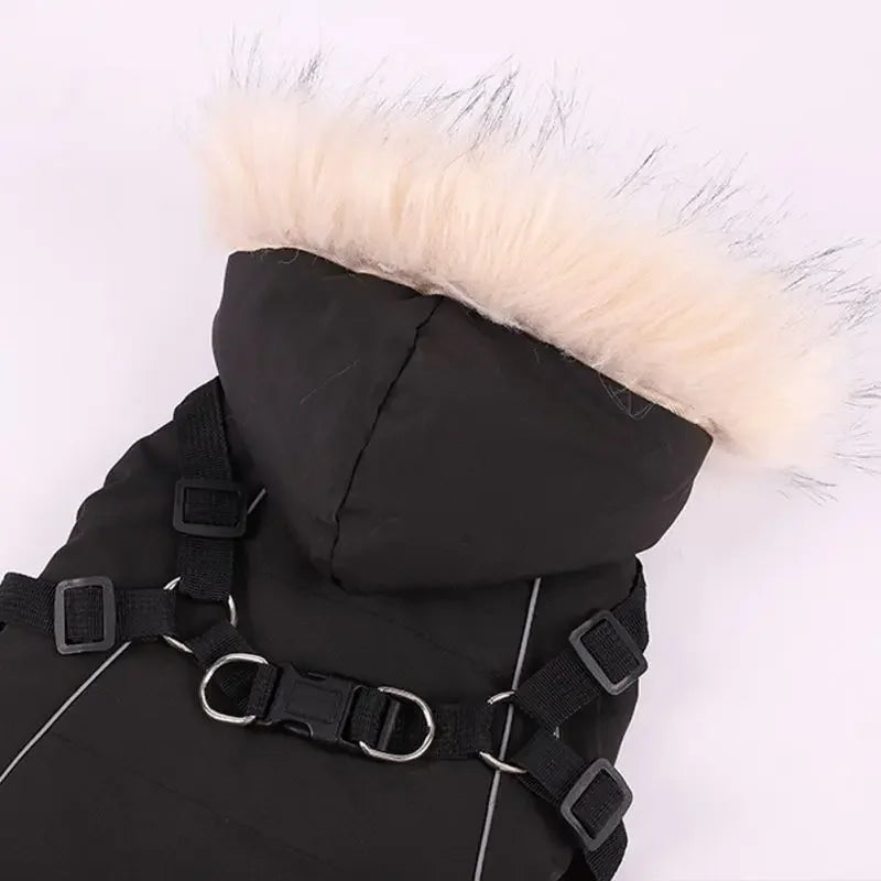 Fleece Lining Dog Hoodie with Harness Built in Warm Small Dog Jacket