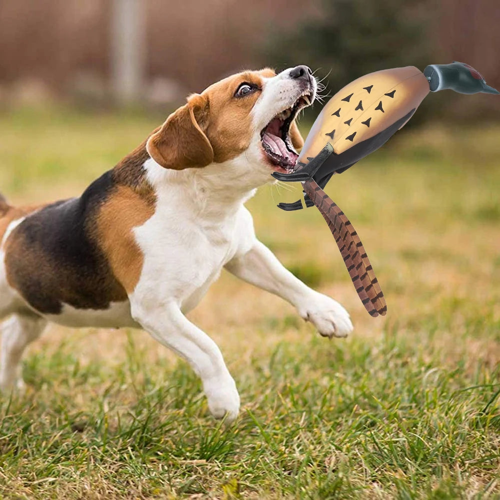 Pheasant Dummy Bumper Toy for Hunting Retriever Dog Training,Hunting Duck Recognition