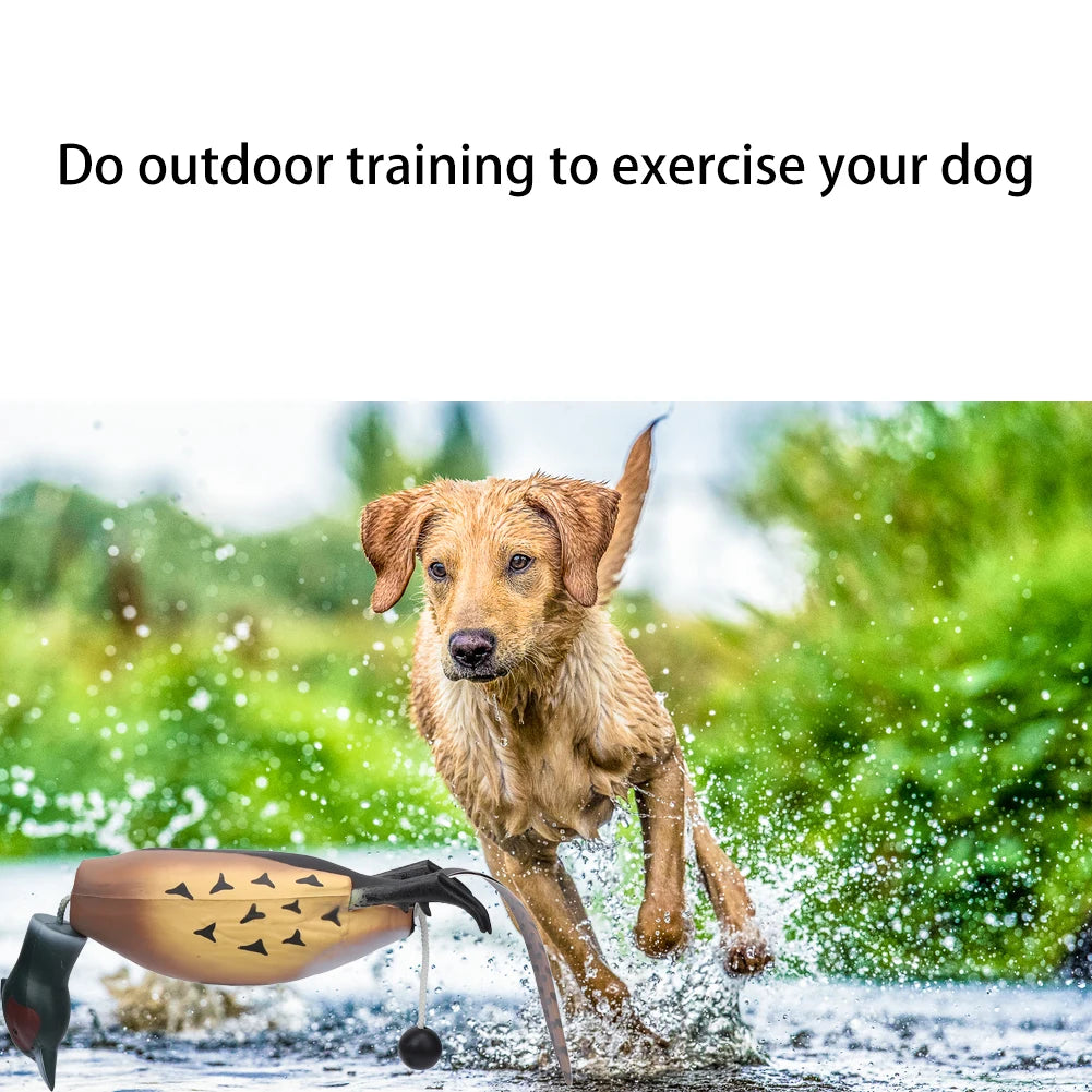 Pheasant Dummy Bumper Toy for Hunting Retriever Dog Training,Hunting Duck Recognition