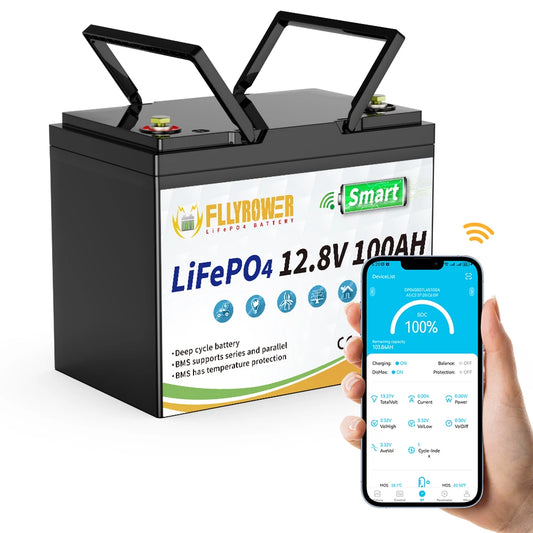 12V 100Ah  Lithium Battery Pack With Bluetooth 100A BMS Deep Cycles