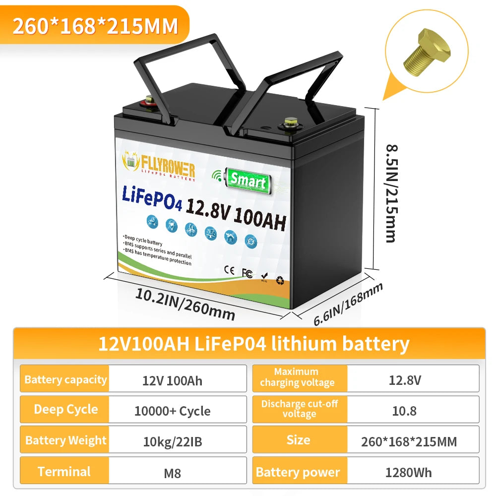 12V 100Ah  Lithium Battery Pack With Bluetooth 100A BMS Deep Cycles