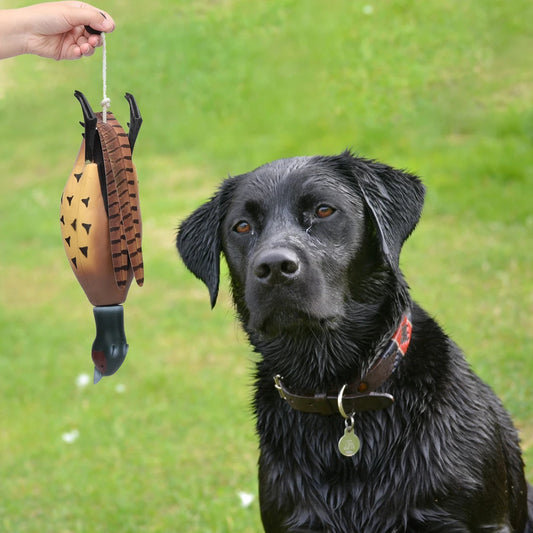 Pheasant Dummy Bumper Toy for Hunting Retriever Dog Training,Hunting Duck Recognition