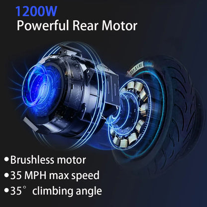 48V 26AH Lithium Battery Electric Scooter with Seat