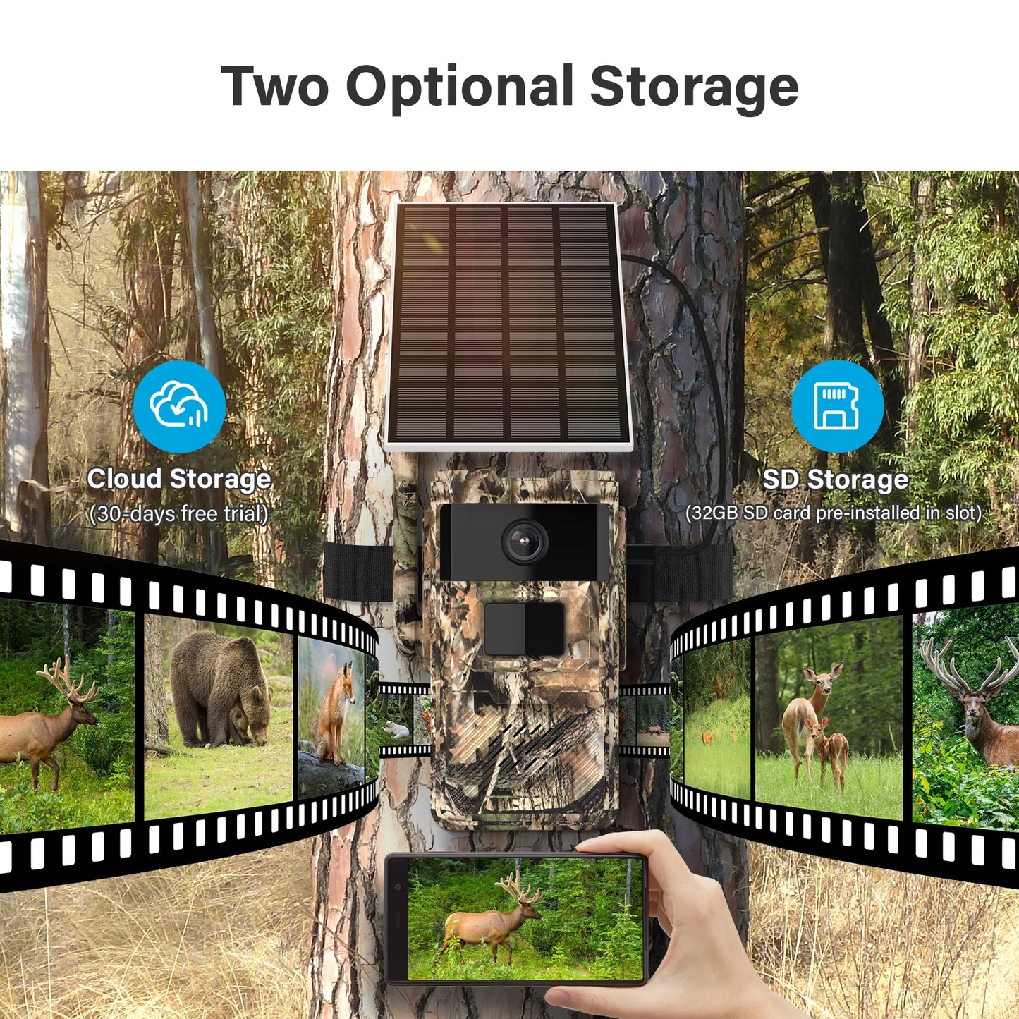 Jennov Solar Hunting Trail Camera 2.5k HD Wildlife Game Camera 4G SIM Card IP66 Waterproof PIR Motion Detection IR Night Vision