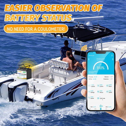 12V 100Ah  Lithium Battery Pack With Bluetooth 100A BMS Deep Cycles