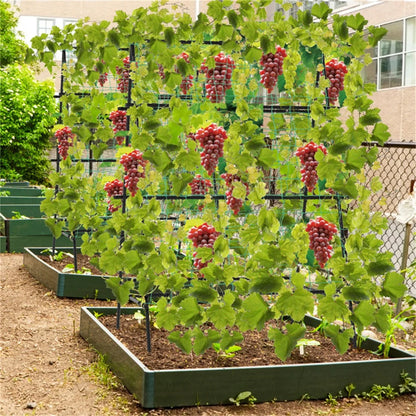 59" Cucumber Trellis  for Vegetables