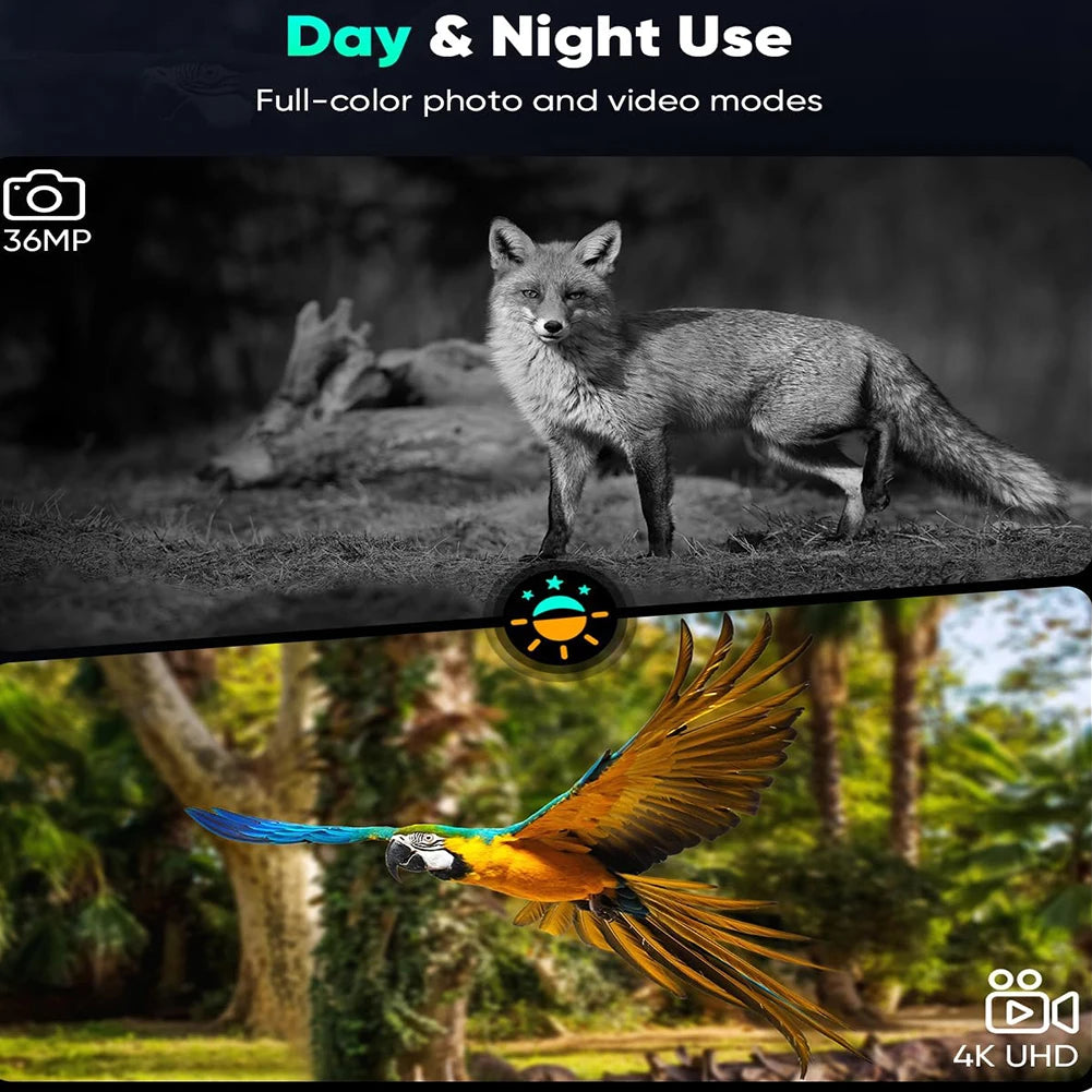 Digital Night Vision Binoculars With Infrared Illuminator Video Recording 8X Zoom